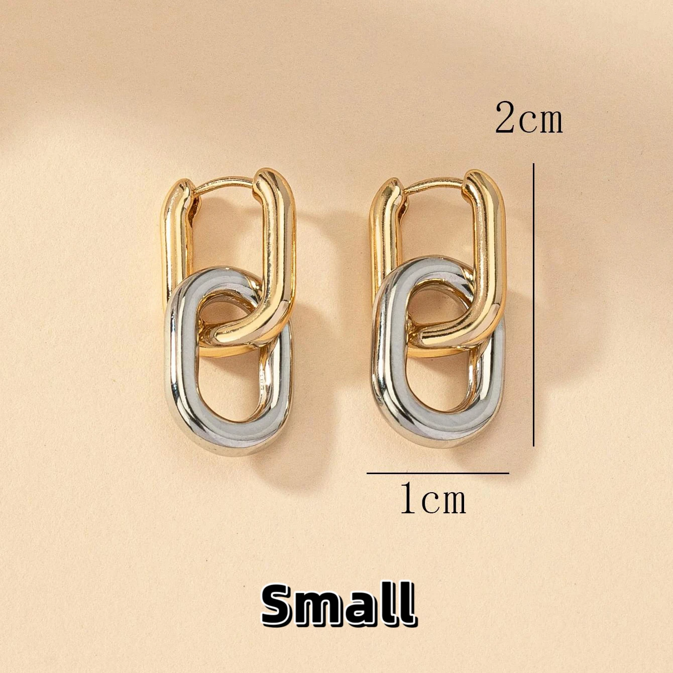 Dual Link Hoops Earrings