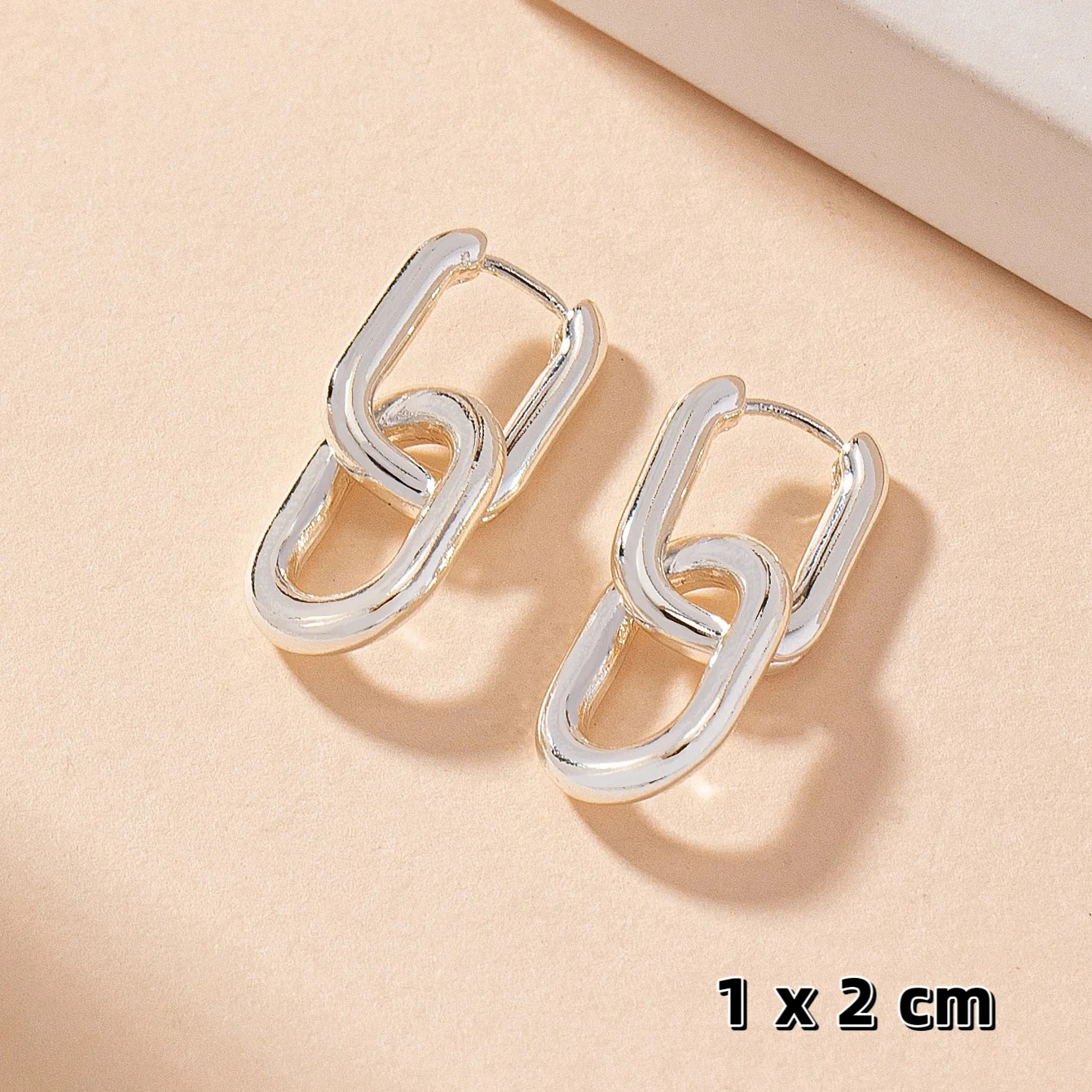 Dual Link Hoops Earrings