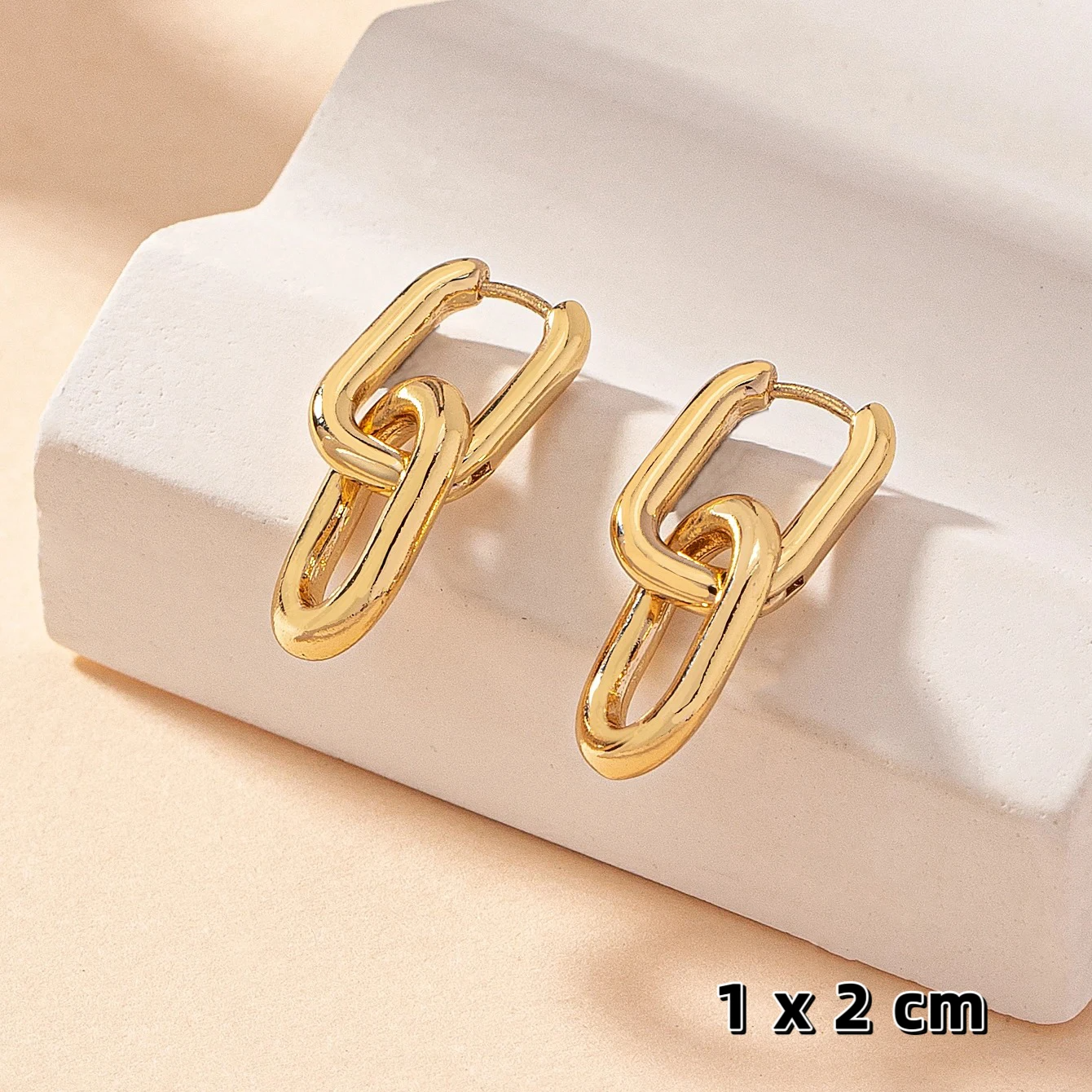 Dual Link Hoops Earrings
